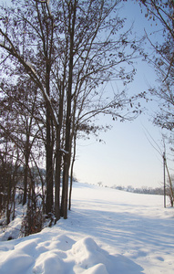 雪景