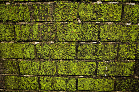 grunge 的老石墙纹理背景