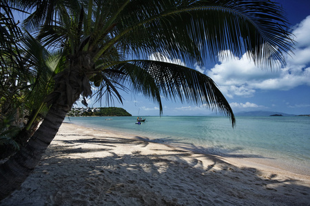 泰国苏梅岛 苏梅岛，海滩和椰子棕榈树视图