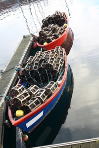 渔船停泊在港口
