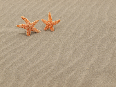 海风砂海滩上的两个海星的涟漪