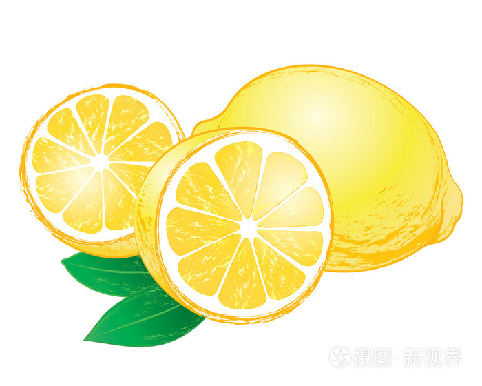 矢量柠檬叶插画-正版商用图片19bykj-摄图新视界