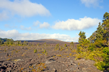 火山锥和其熔岩流