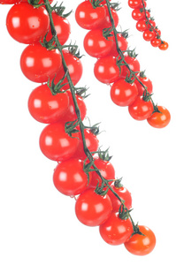 樱桃 tomatoe