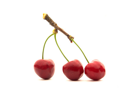 Red cherry n a white background