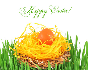 复活节彩蛋在草地上的装饰巢