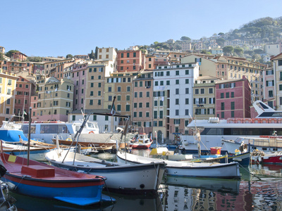 在 camogli 中的小港湾