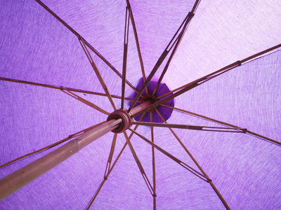 紫色的伞