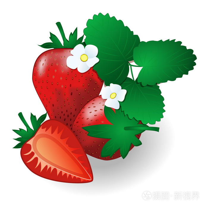 激情红色草莓叶子和花
