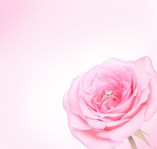 浪漫粉红色的玫瑰钻石戒指
