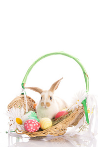 在一个大篮子鸡蛋和丝带的复活节兔子