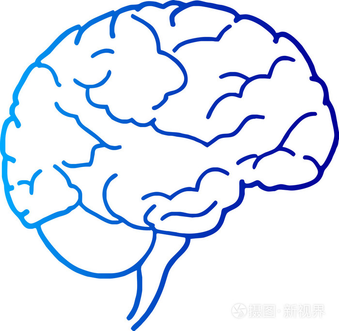 人类的大脑插画-正版商用图片19cwmz-摄图新视界