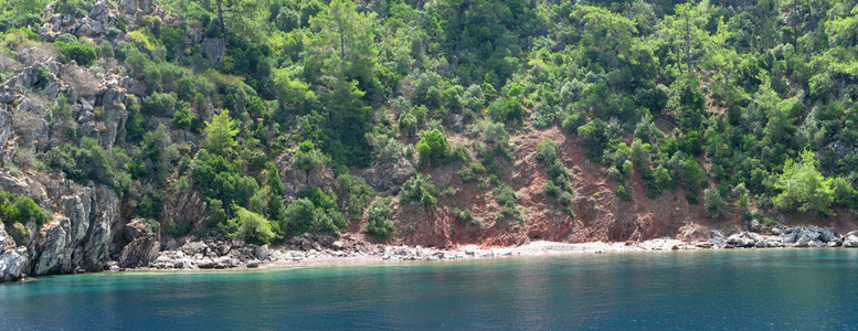 野生海滩风景全景图