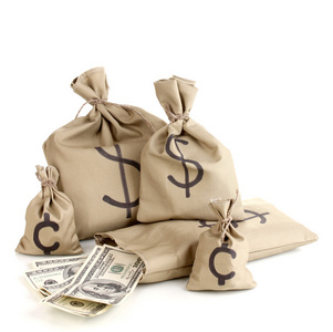 画布上的钱袋子图片