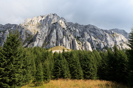 松树林附近一座山