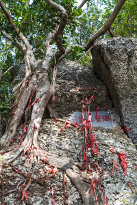 中国海南岛