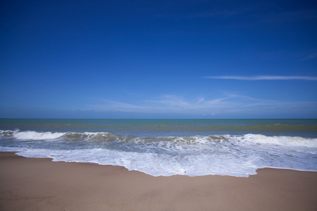 海滩和热带海