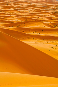 撒哈拉沙漠摩洛哥。hdr 图像