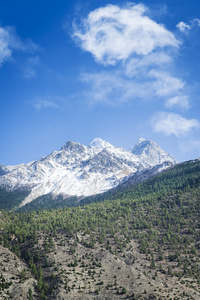 春天在喜马拉雅山