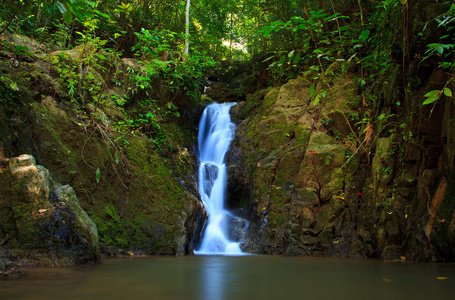 丛林，普吉岛，泰国的瀑布