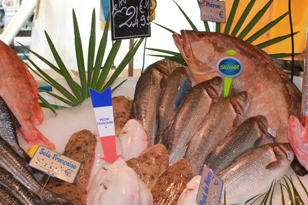 Fresh fish market march aux poisson paris