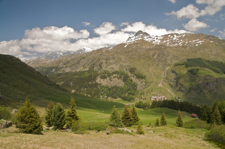 高山景观