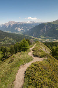 高山景观