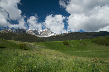 高山景观