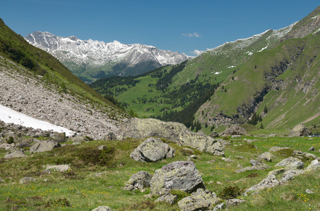 高山景观