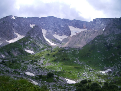 野山高加索