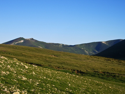 野山高加索