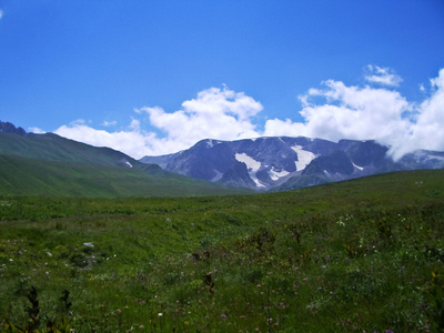 野山高加索