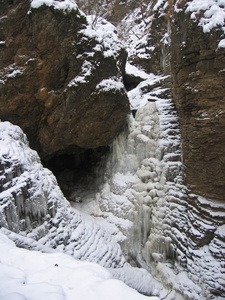 野山高加索