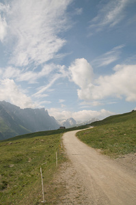 高山景观