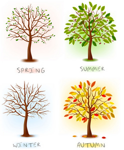 春捂秋冻四季春 夏 秋 冬艺术树美丽为您的设计矢量插画照片