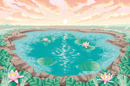 沙漠池塘卡通池塘与莲花照片