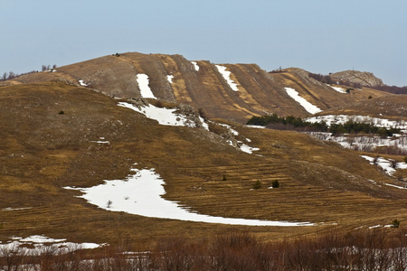 春山风景