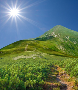 绿山由夏日里的一天