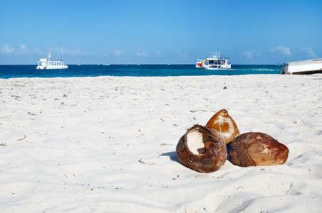 静物椰子在热带的白色沙滩
