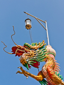 金爪金色龙爪扩展照片
