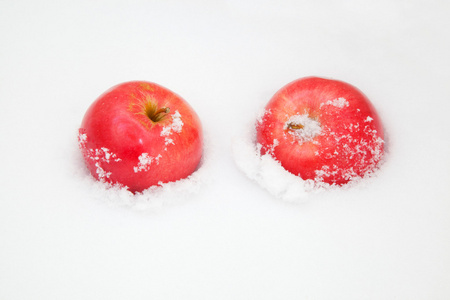 苹果在雪中