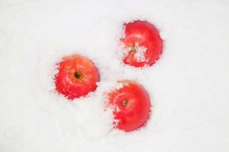 苹果在雪中