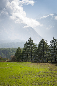 绿色领域在喜马拉雅山