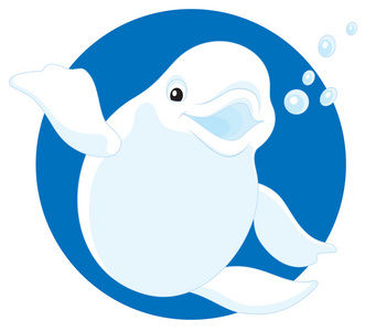 卡通白鲸图片-卡通白鲸素材-卡通白鲸插画-摄图新视界