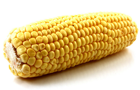 玉米上白色隔离