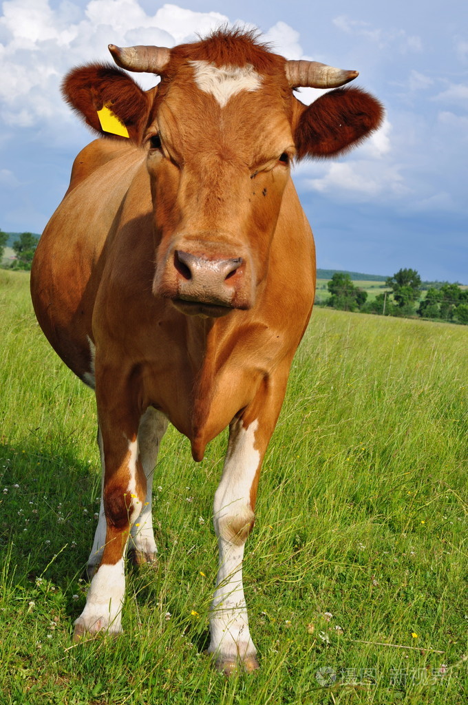 680_1024竖版 竖屏