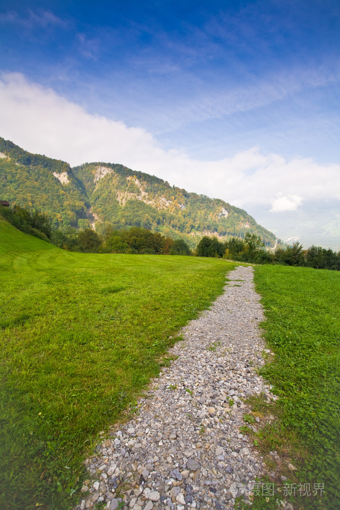 行车线穿过绿绿的草地