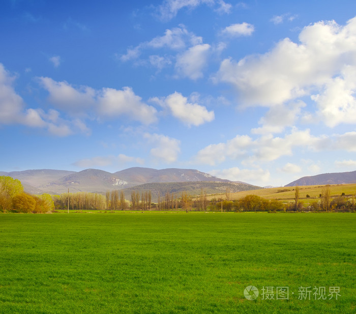 绿色的原野