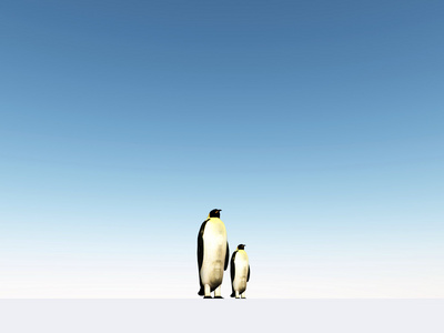 企鹅在蓝蓝的天空下