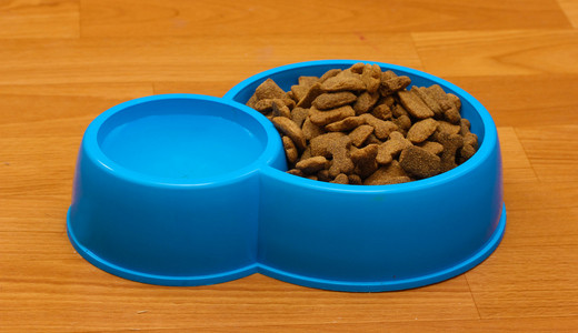干燥的狗食物和水在地板上的蓝色碗